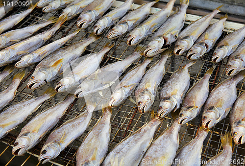 Image of dried salt fish