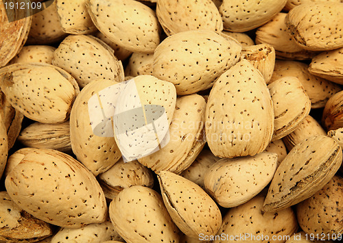 Image of almond nut