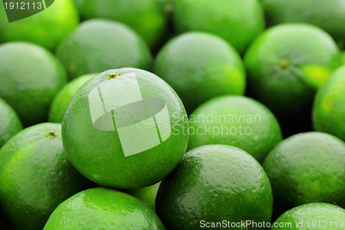 Image of green lime citrus fruit