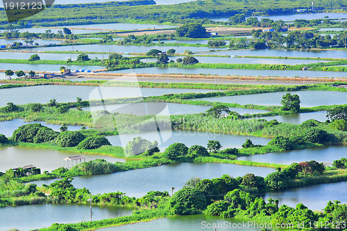 Image of Fish hatchery pond