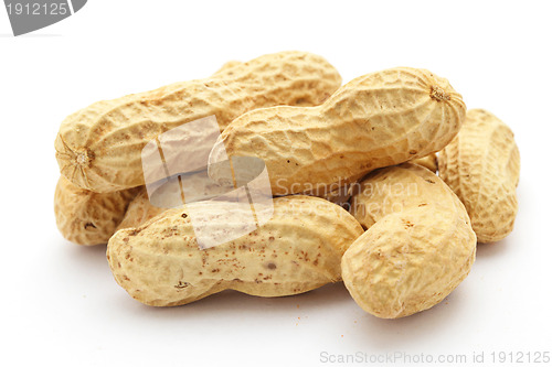 Image of peanut