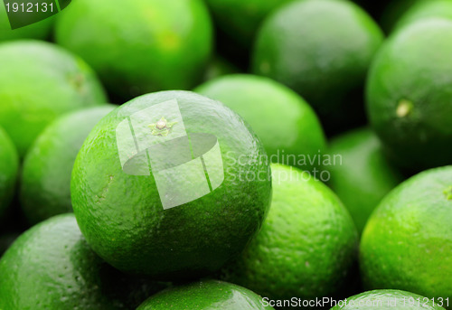 Image of lime citrus fruit