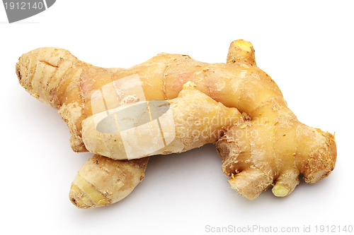 Image of Ginger