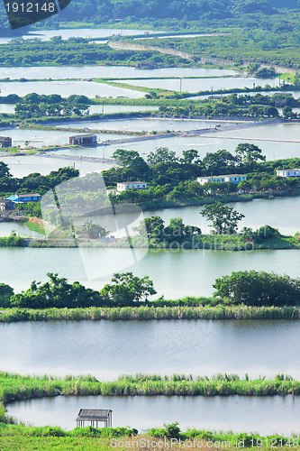 Image of Fish hatchery pond