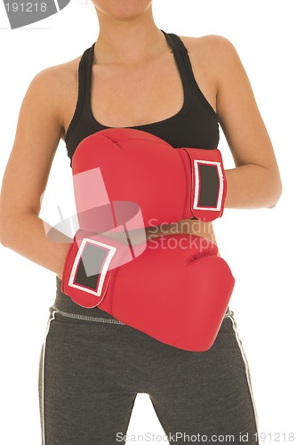 Image of Boxer #10