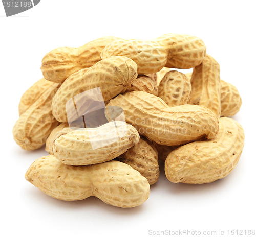 Image of peanut