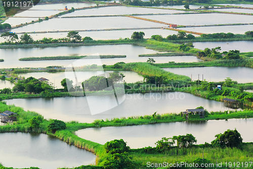 Image of Fish hatchery pond