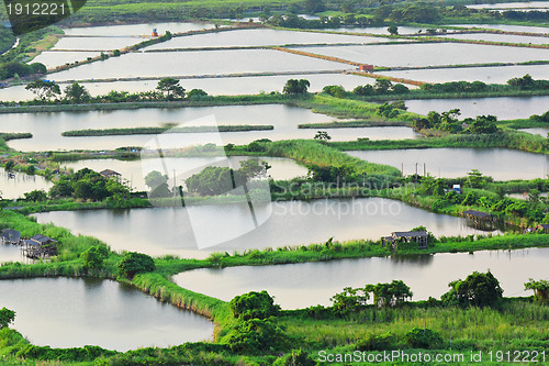 Image of Fish hatchery pond