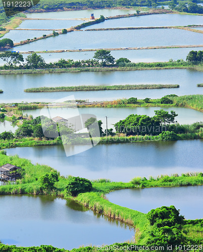 Image of Fish hatchery pond