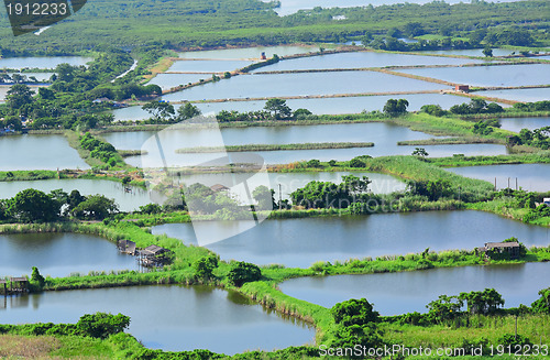 Image of Fish hatchery pond