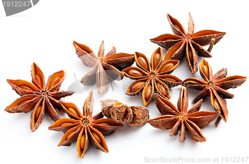 Image of anise stars