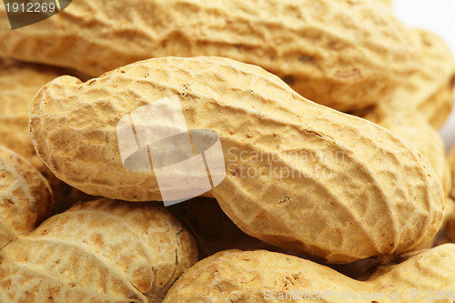 Image of peanut