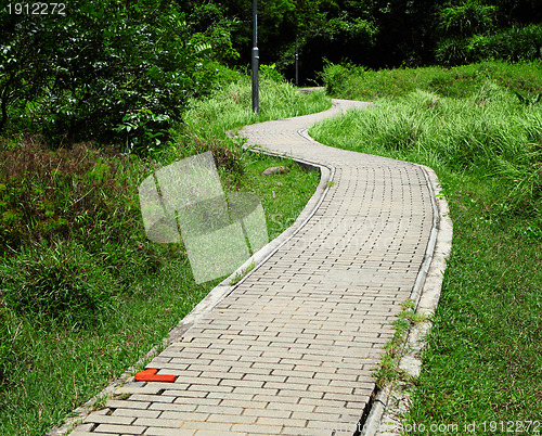 Image of path of the park