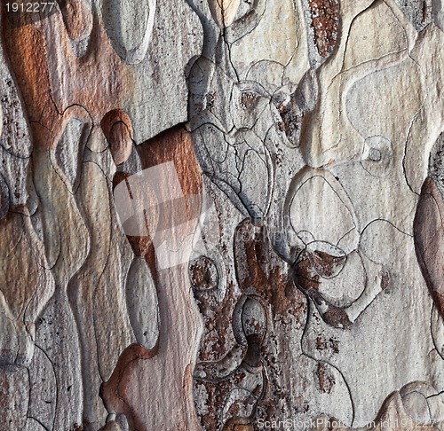 Image of Wooden texture