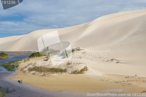 Image of Dunes #5