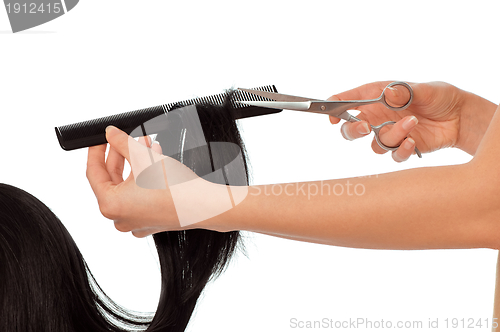 Image of hairdresser