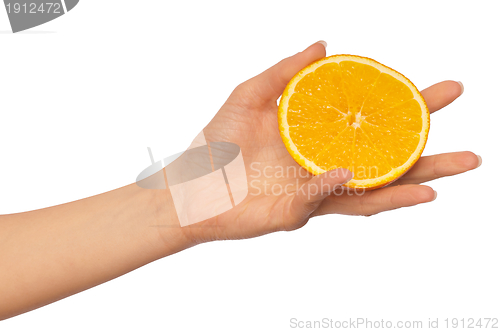 Image of orange