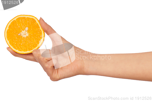 Image of Orange