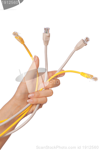 Image of LAN cords