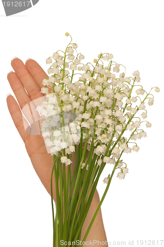 Image of lily of the valley