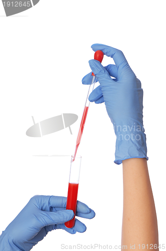 Image of sample of bloods