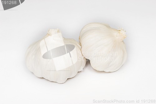 Image of Garlic #3