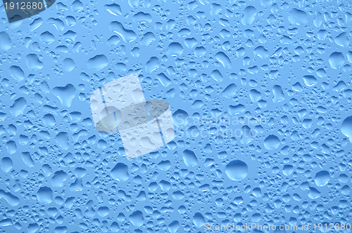 Image of Water bubbles