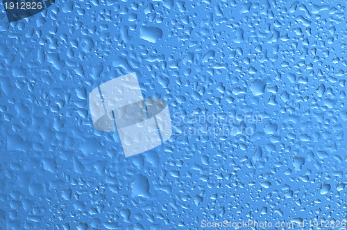 Image of Water bubbles