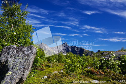 Image of Mountainous panorama