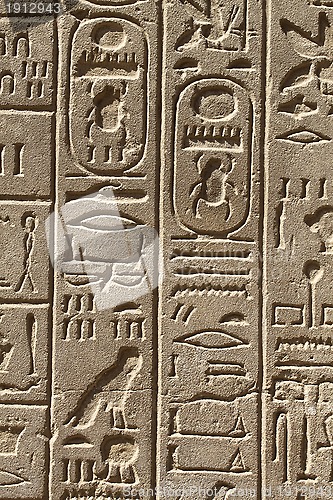 Image of Ancient egypt hieroglyphs