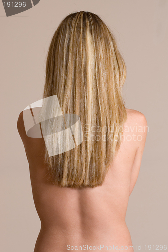 Image of cdtorso #2
