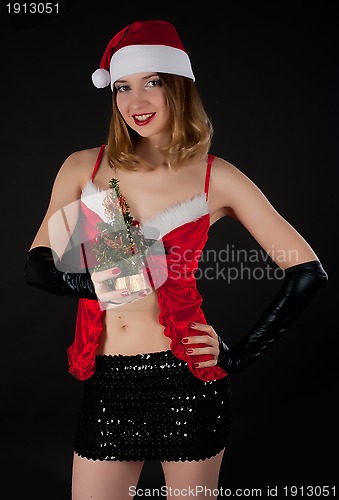 Image of Sexy Santa girl