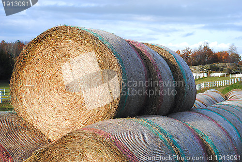 Image of Hay balls