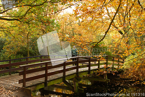 Image of man on the bridge