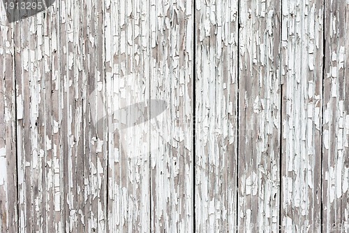 Image of grungy white background of natural wood