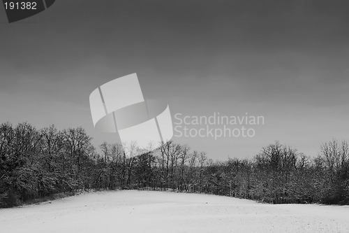 Image of Snow Landscape #2