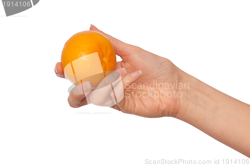 Image of tangerine