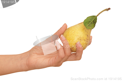 Image of yellow pear
