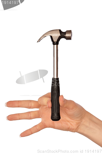 Image of Hammer