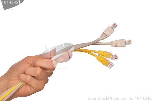 Image of LAN cords