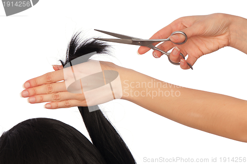 Image of Haircut