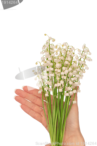 Image of lily of the valley