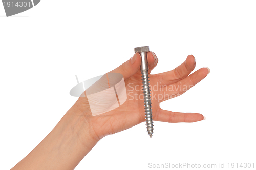 Image of big screw