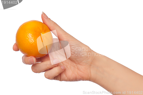 Image of tangerine