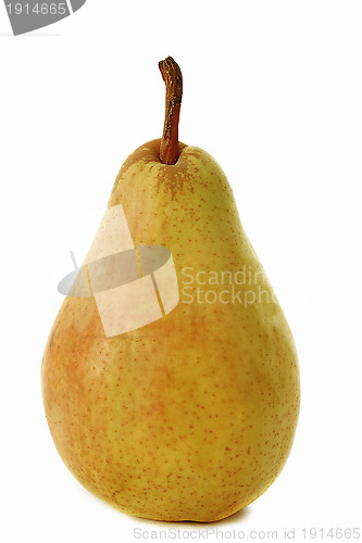 Image of guyot pear