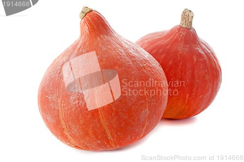 Image of Red kuri squash