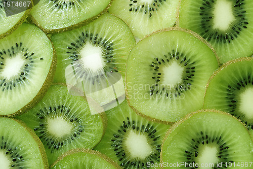 Image of Backlit Kiwi Slice