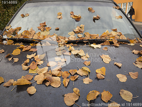 Image of Autumn morning in city