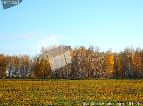 Image of autumn