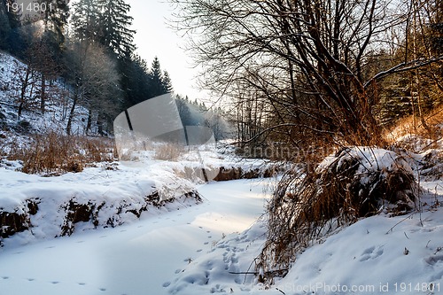 Image of Sunny morning in winter landscape